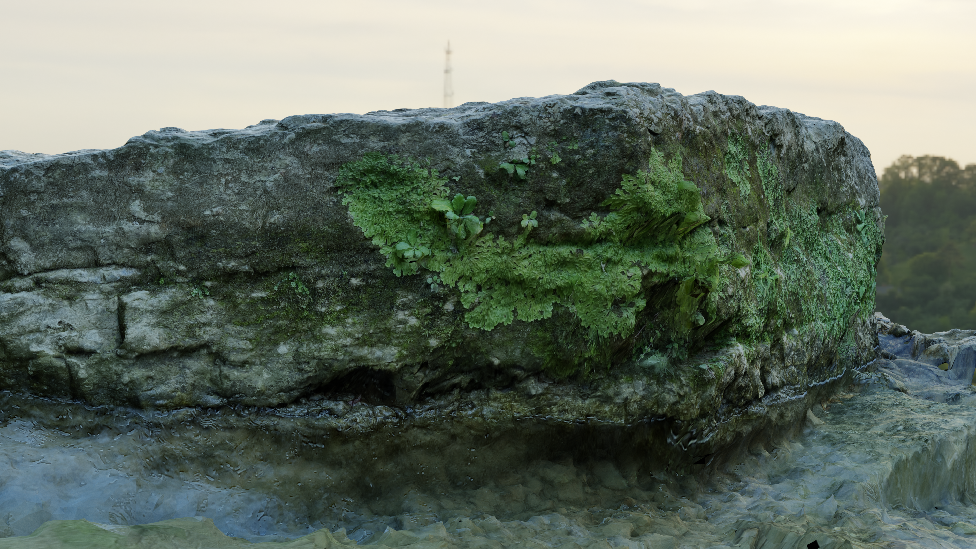 Mossy Rock - Photoscan preview image 3